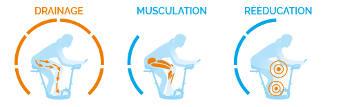 Muscles utilisés