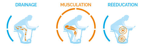 Muscles utilisés