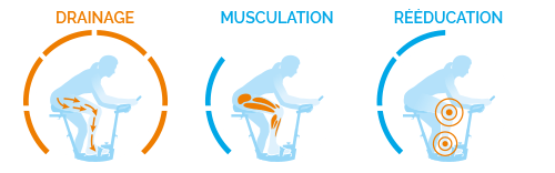 Muscles utilisés